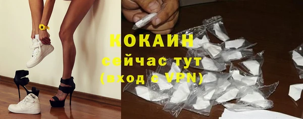 дживик Верея