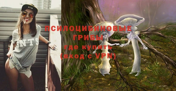 дживик Верея