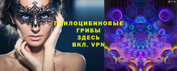 МДПВ Вязники