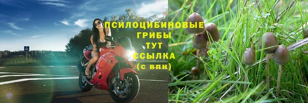дживик Верея