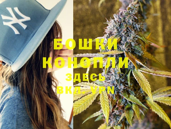 ешки Верхний Тагил