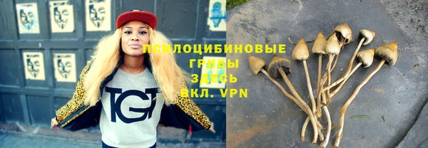 дживик Верея